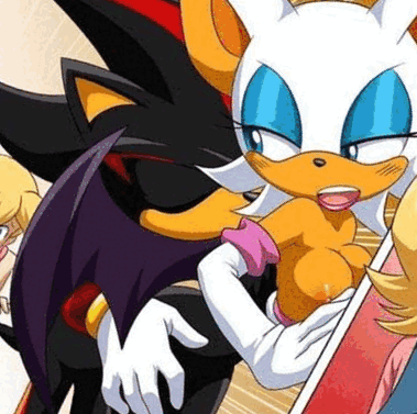 sonic the hedgehog (series), rouge the bat, shadow the hedgehog, animated, low r