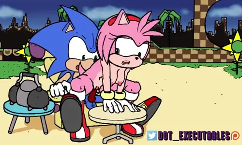 sonic the hedgehog amy rose,sonic the hedgehog animated by dotexecutables