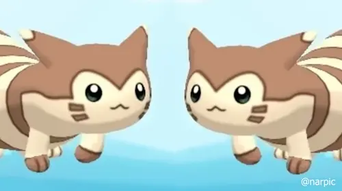 pokemon pokemon species,gen 2 pokemon,furret video